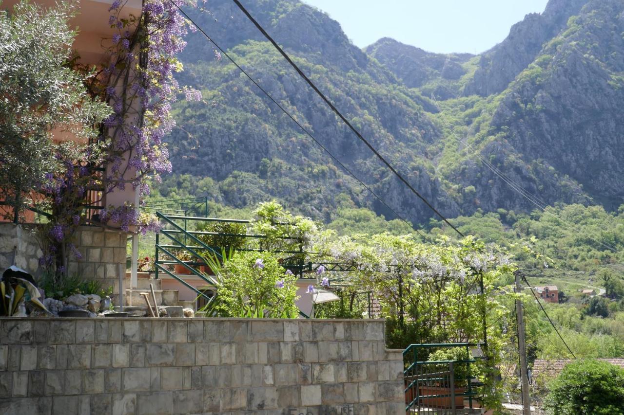 Ecohouse Risan Studio 外观 照片