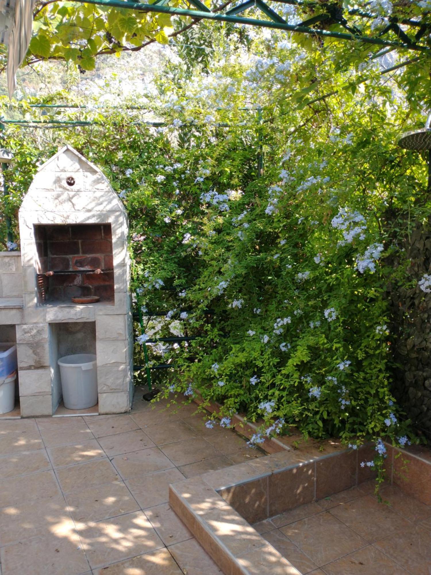 Ecohouse Risan Studio 外观 照片
