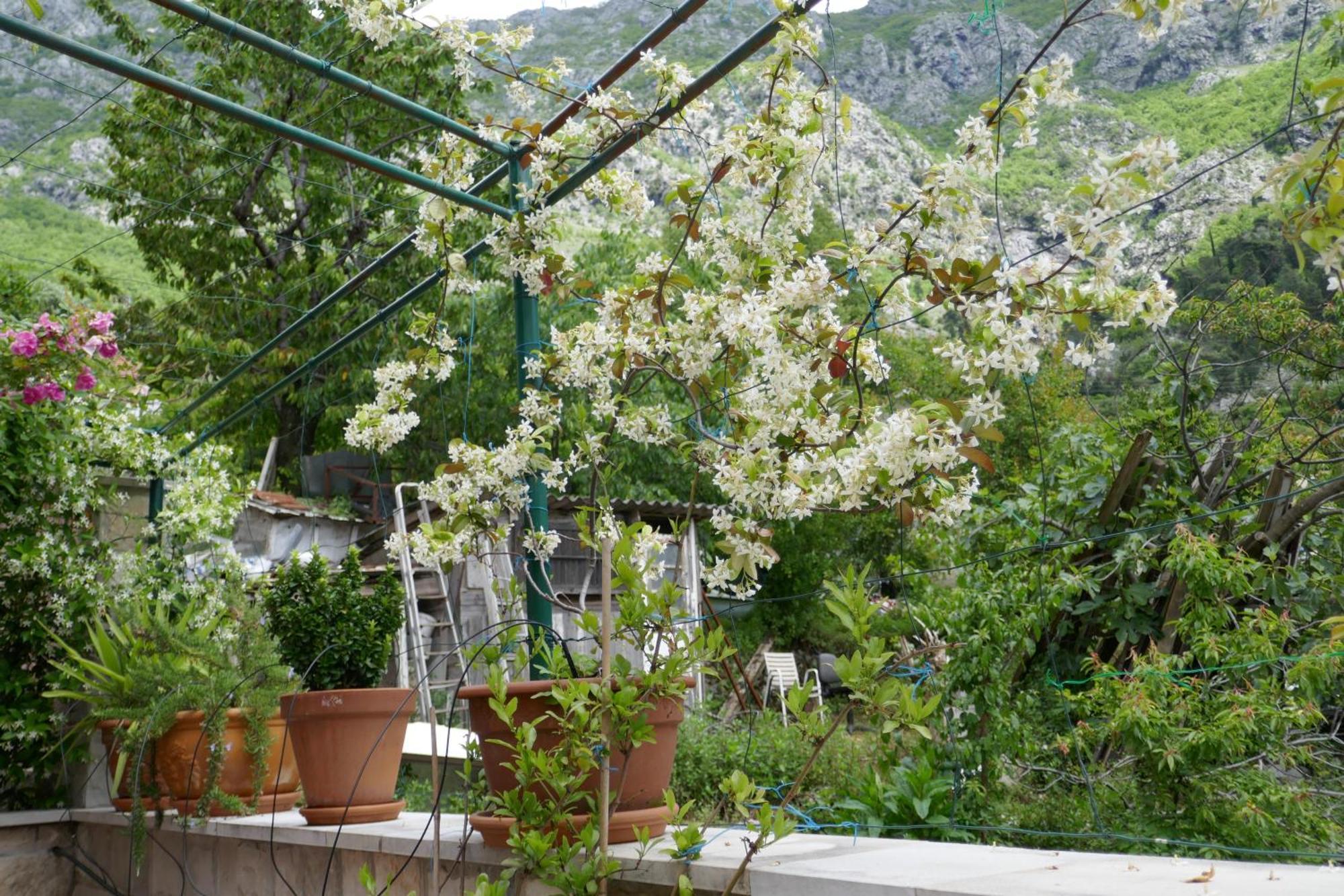 Ecohouse Risan Studio 外观 照片