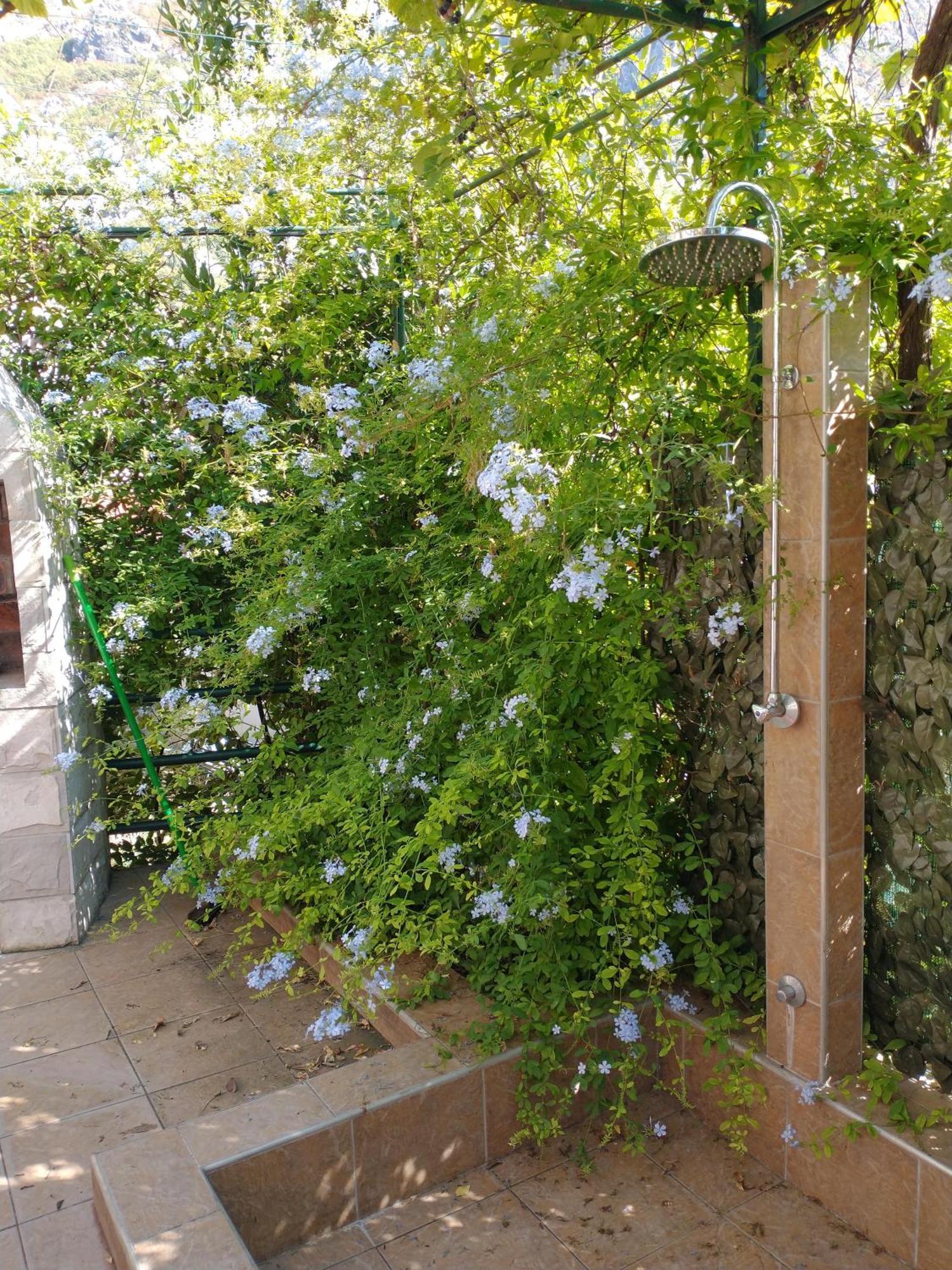Ecohouse Risan Studio 外观 照片