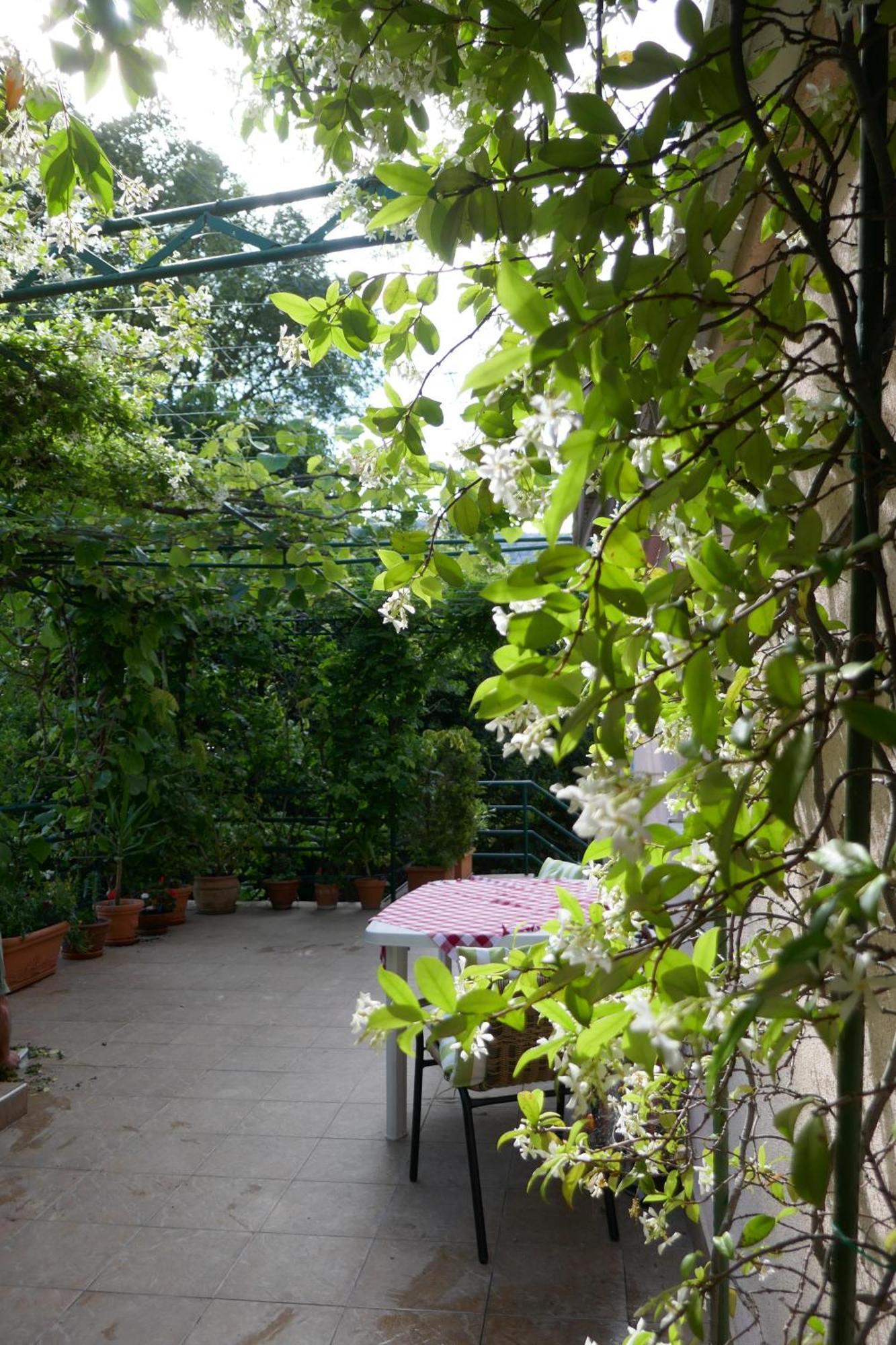 Ecohouse Risan Studio 外观 照片